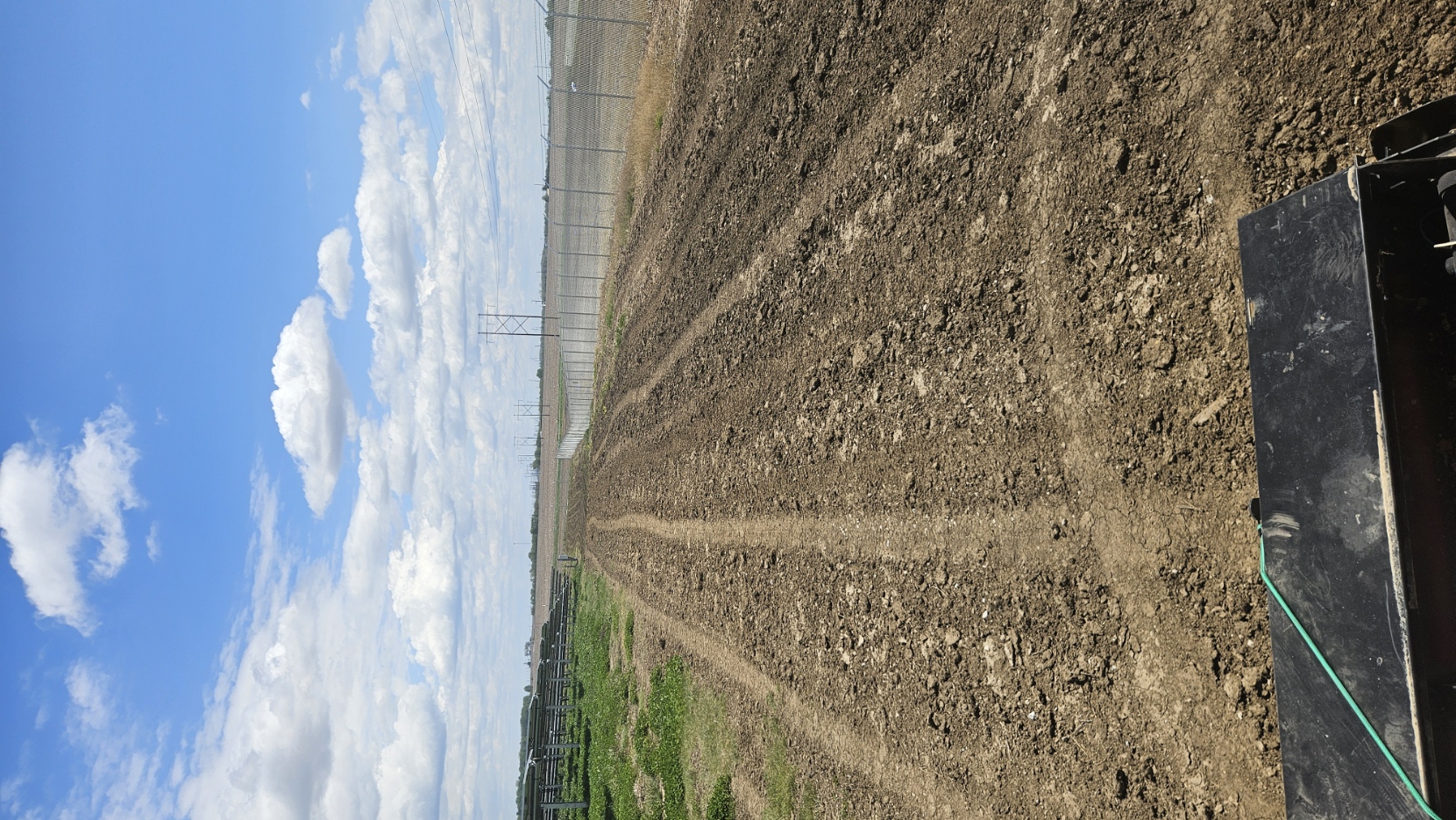 Close up ground growth health